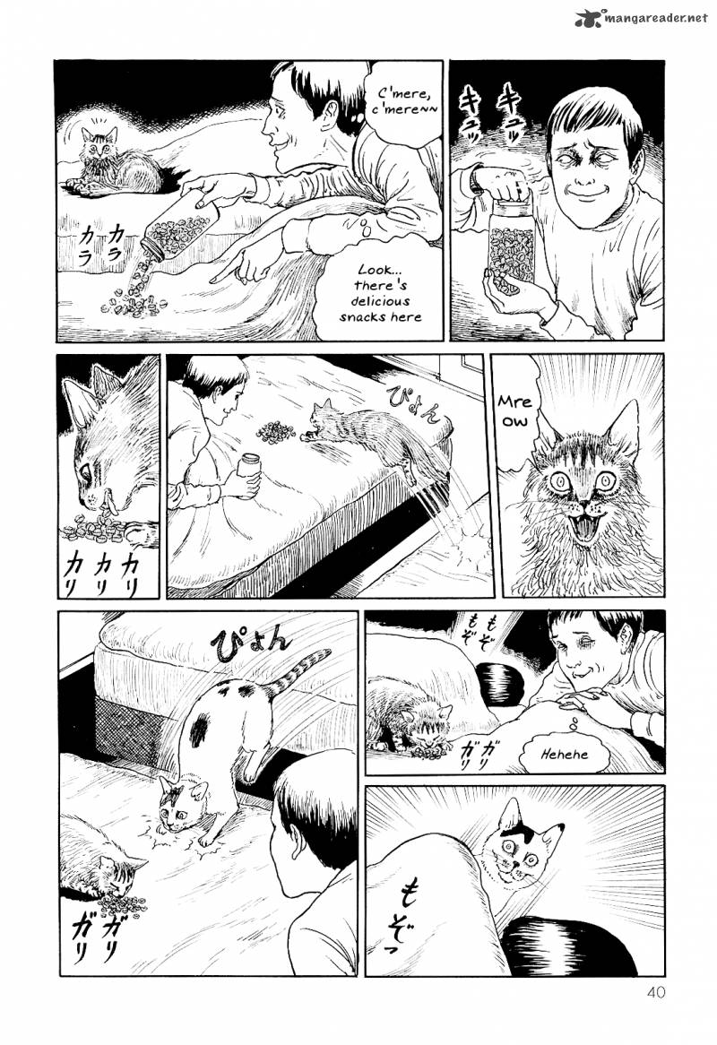 Ito Junjis Cat Diary Chapter 4 Page 6
