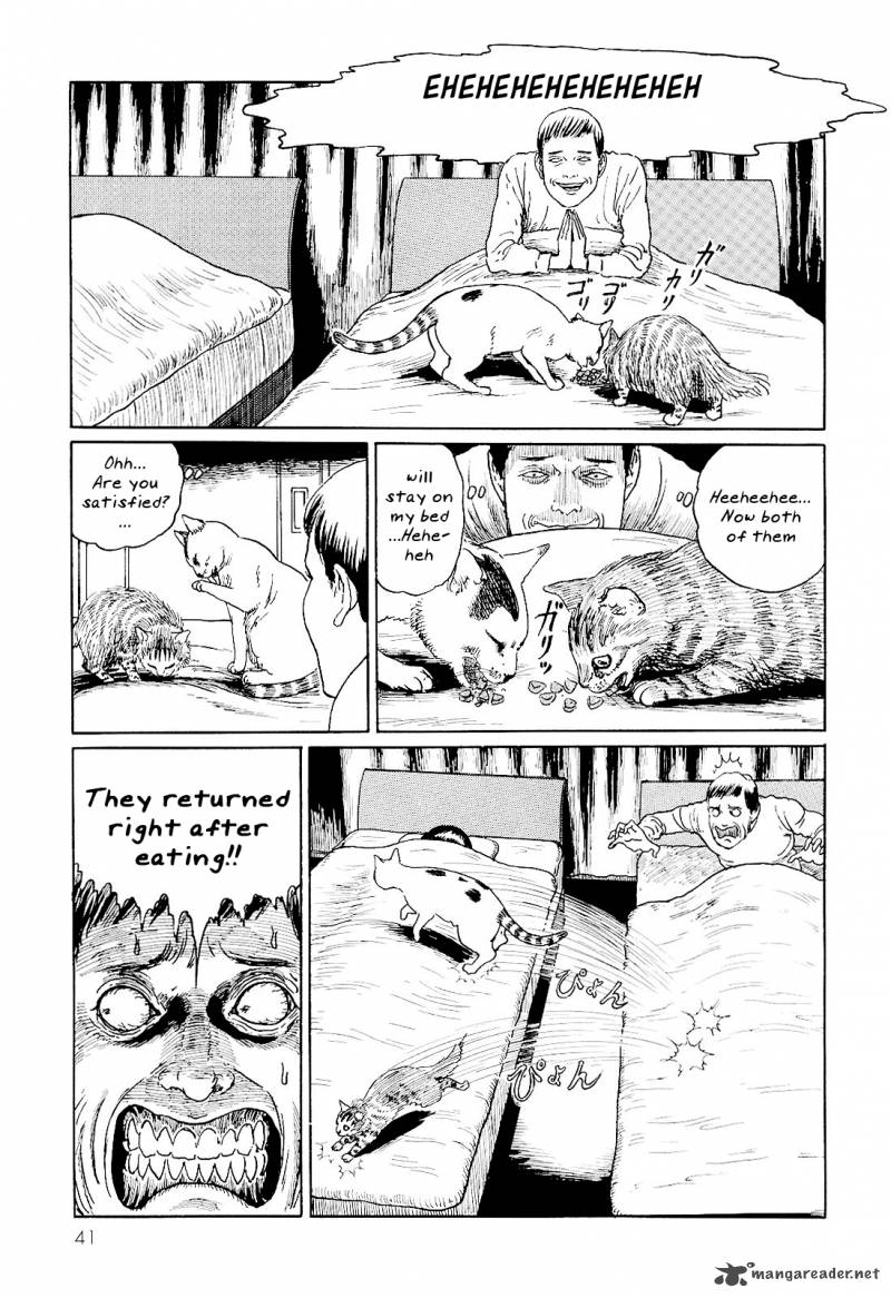 Ito Junjis Cat Diary Chapter 4 Page 7