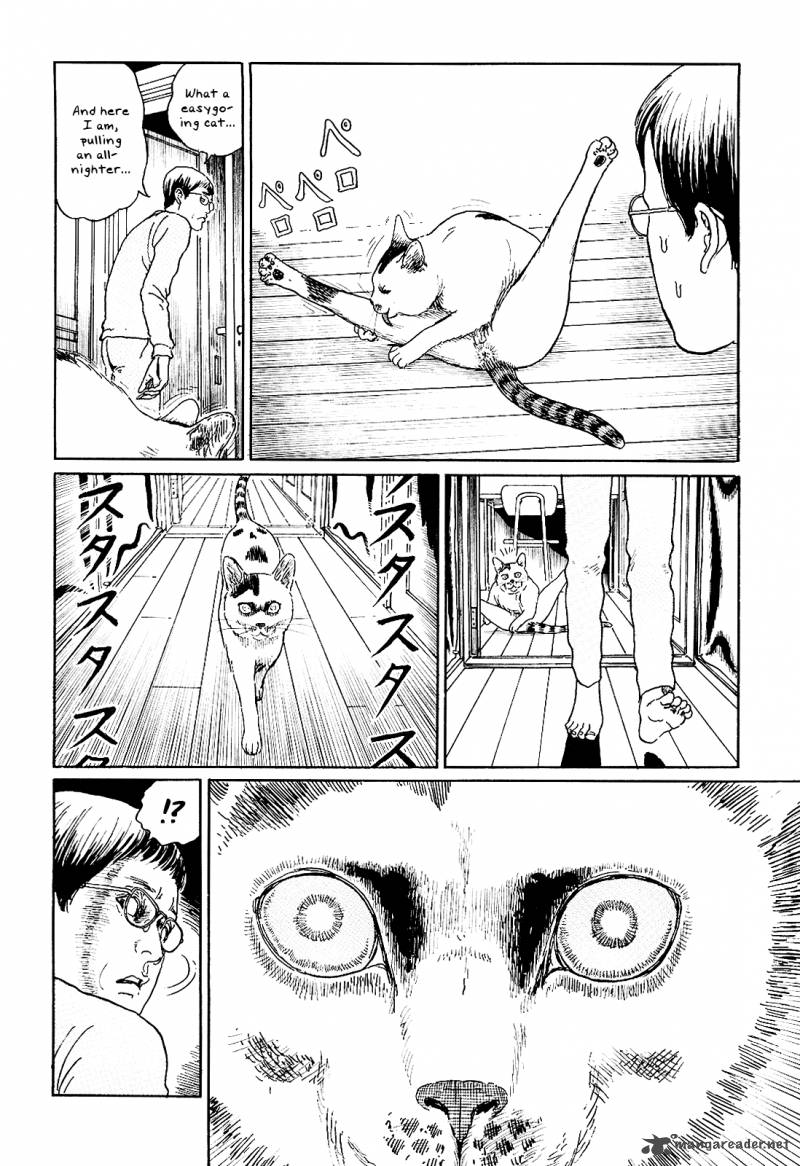 Ito Junjis Cat Diary Chapter 5 Page 4