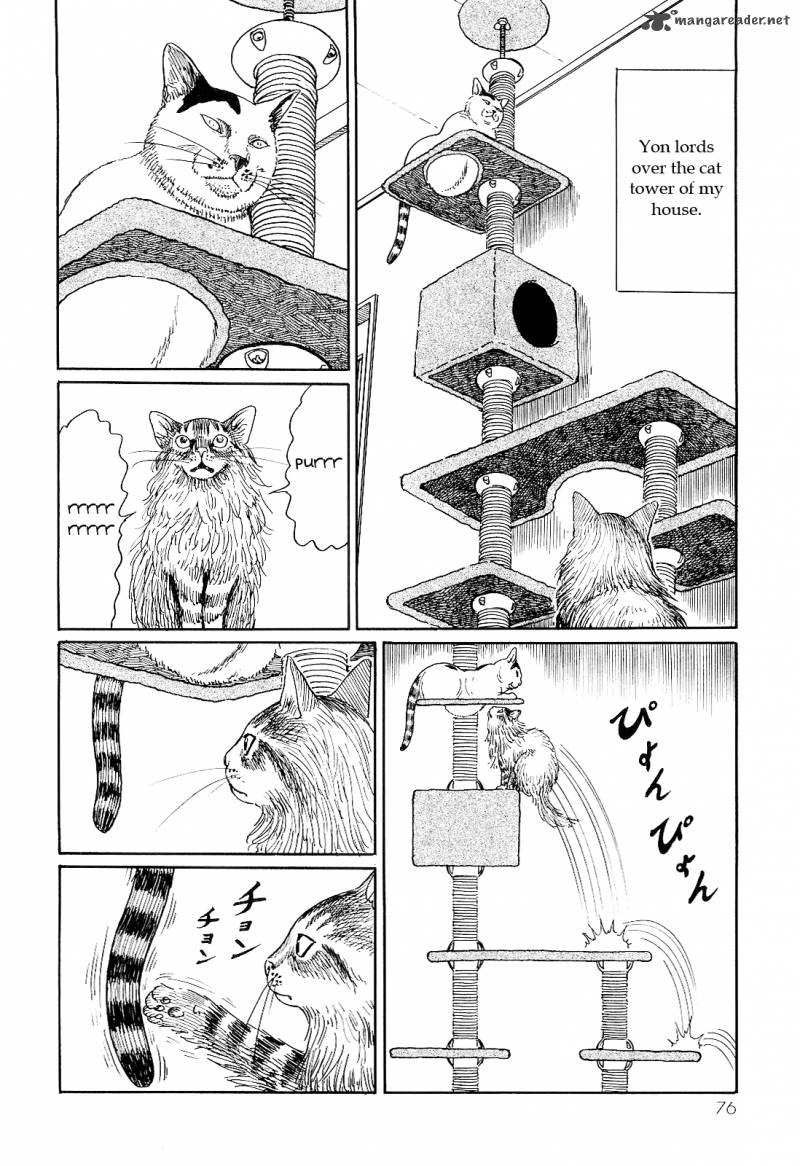 Ito Junjis Cat Diary Chapter 7 Page 8
