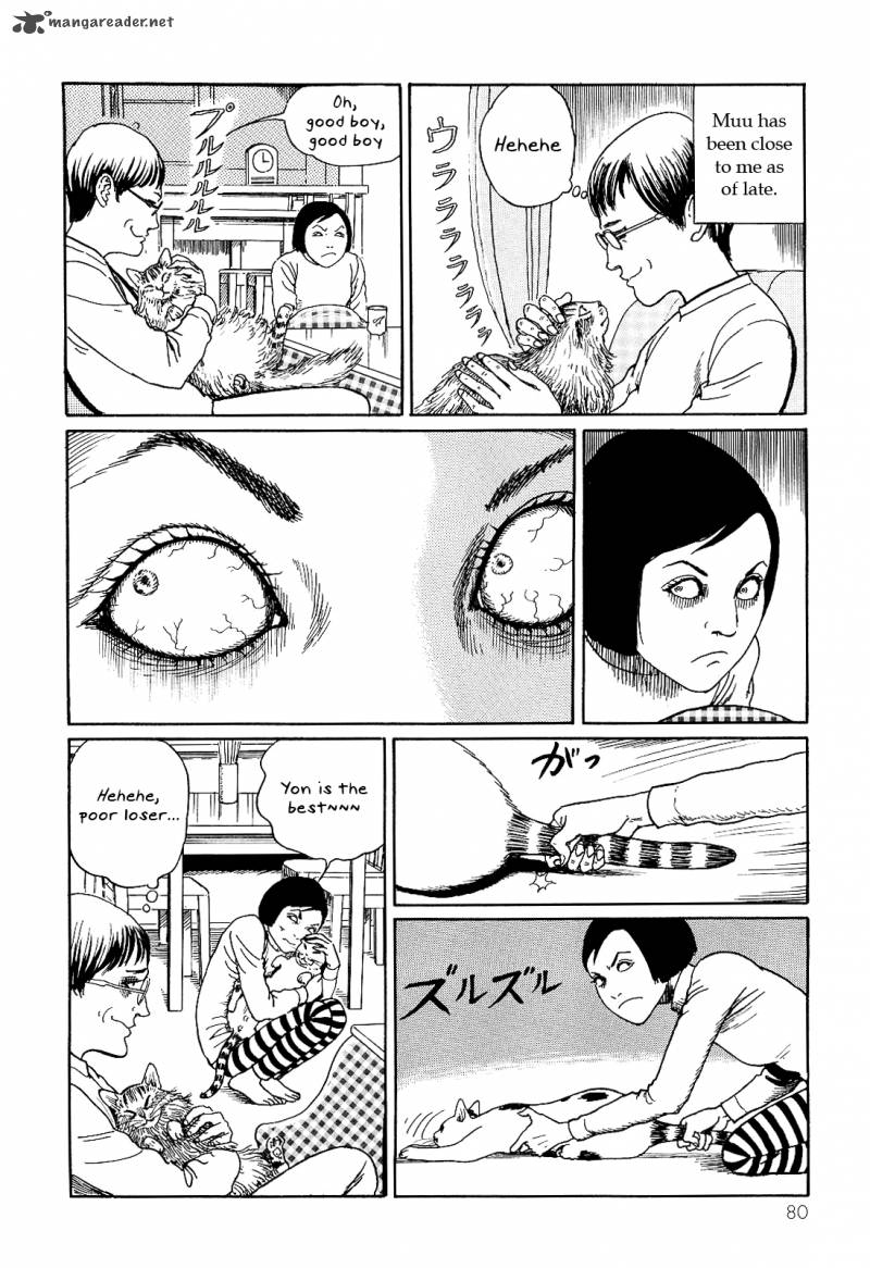 Ito Junjis Cat Diary Chapter 8 Page 2