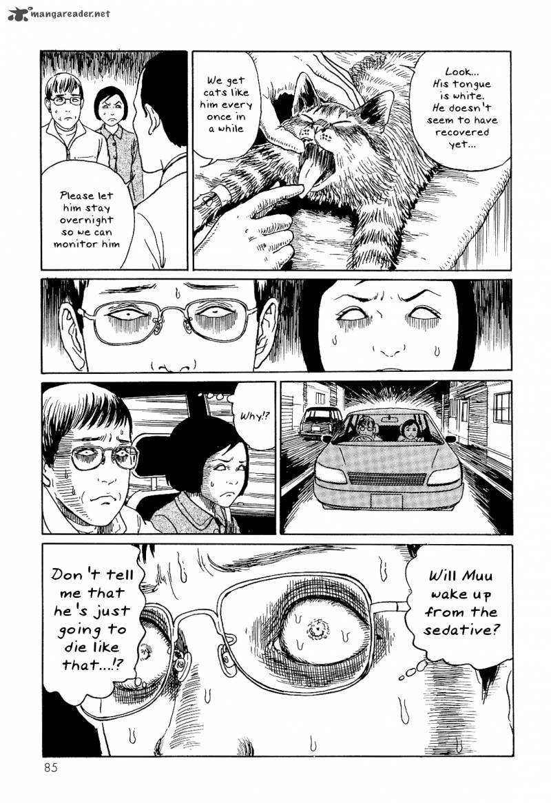 Ito Junjis Cat Diary Chapter 8 Page 7