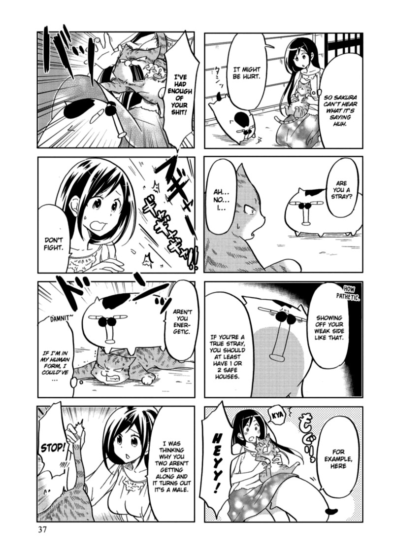 Itoshi No Sakura San Chapter 25 Page 3
