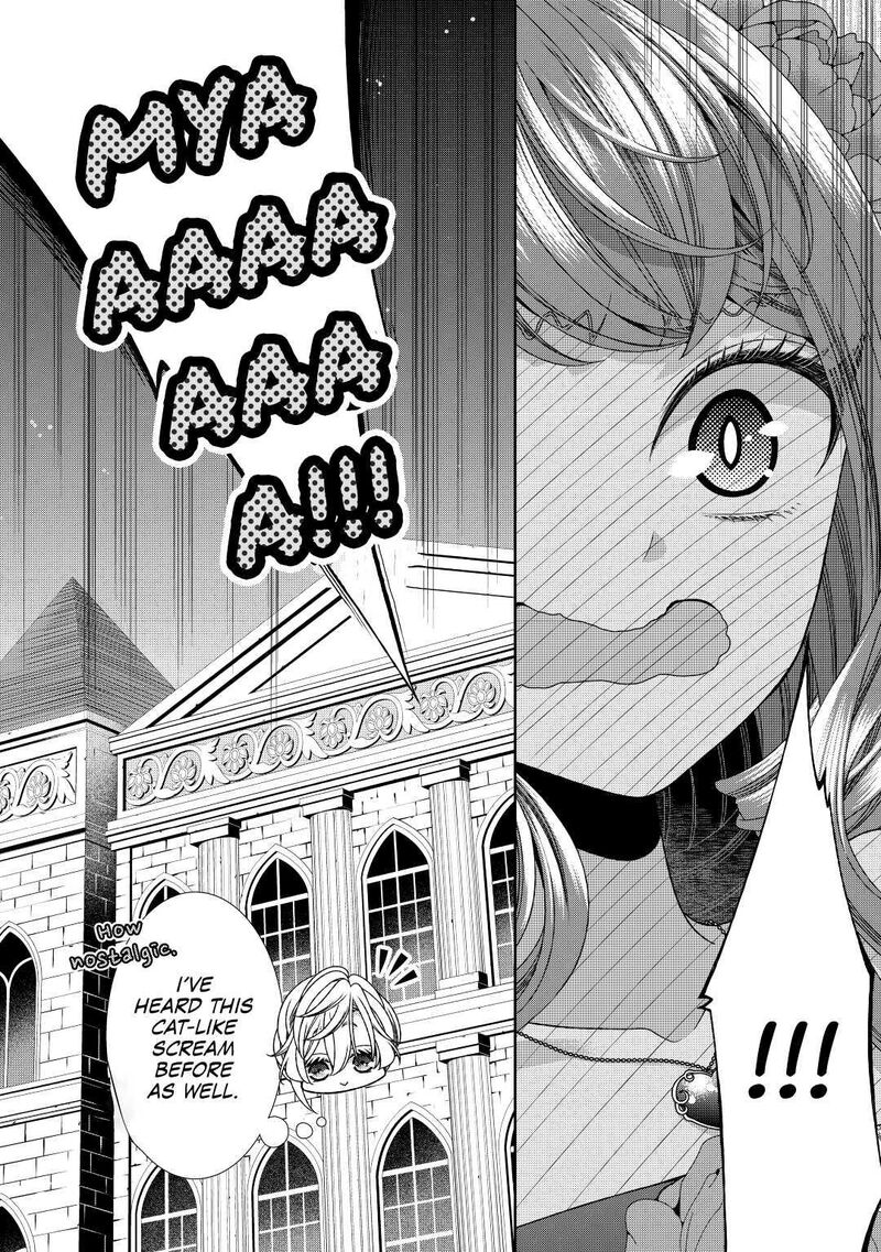 Jishou Akuyaku Reijou Na Konyakusha No Kansatsu Kiroku Chapter 26 Page 30