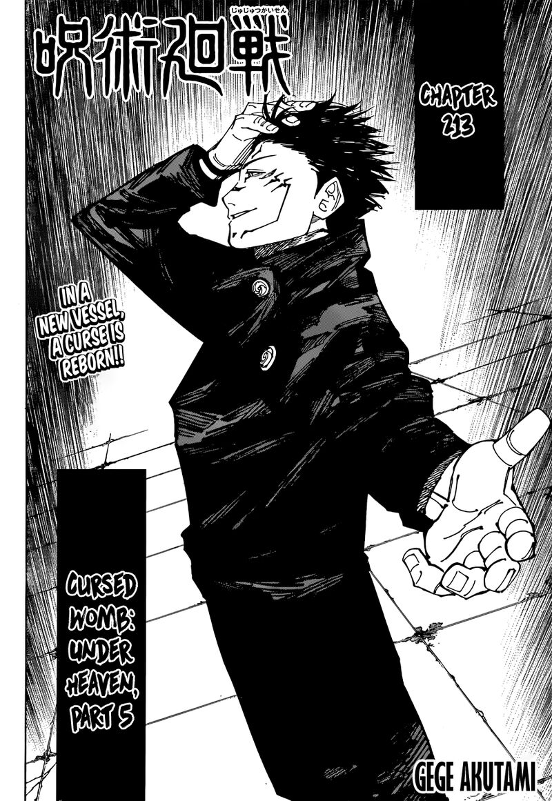 Jujutsu Kaisen Chapter 213 Page 2