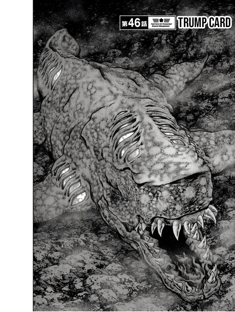 Kaijuu Jieitai Task Force For Paranormal Disaster Management Chapter 46 Page 3