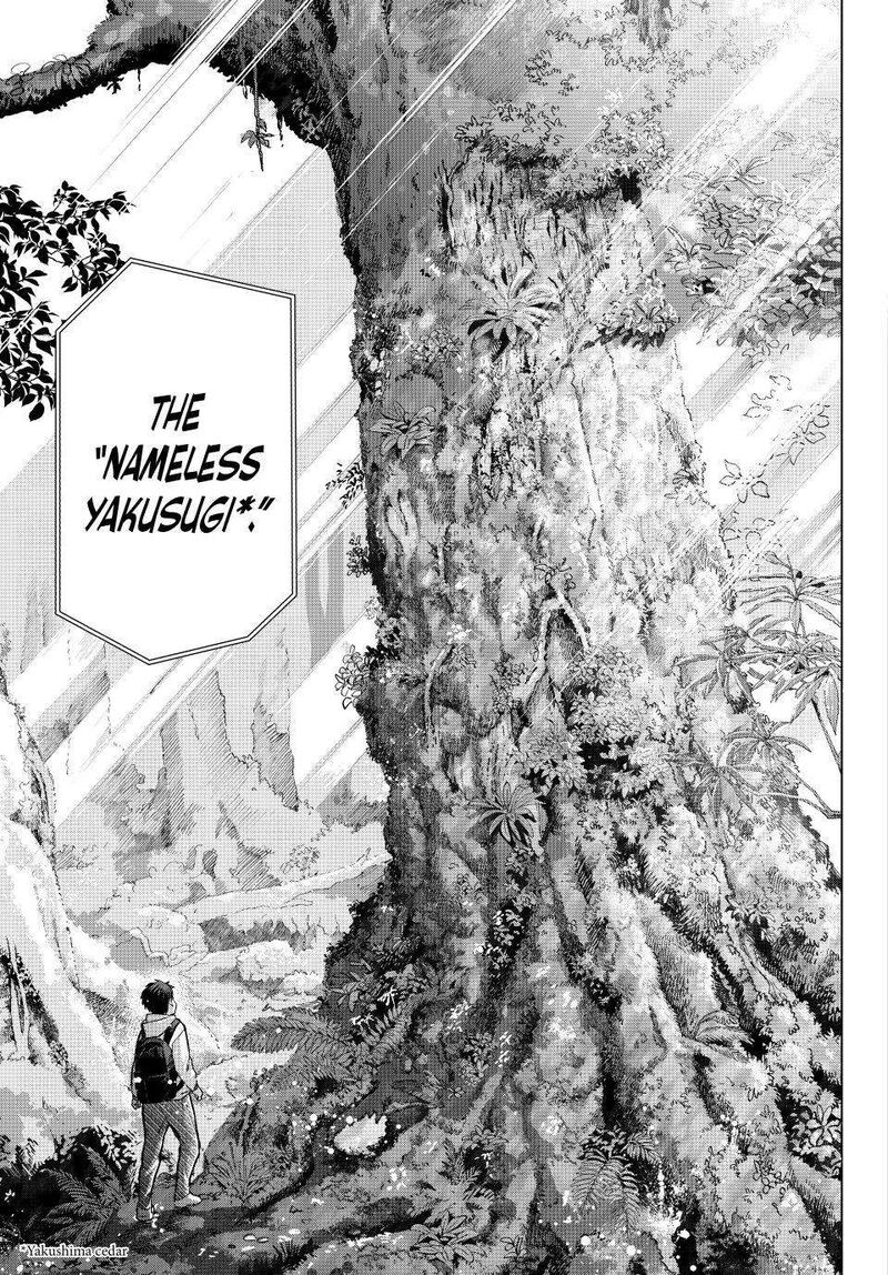 Kakkou No IInazuke Chapter 284 Page 11