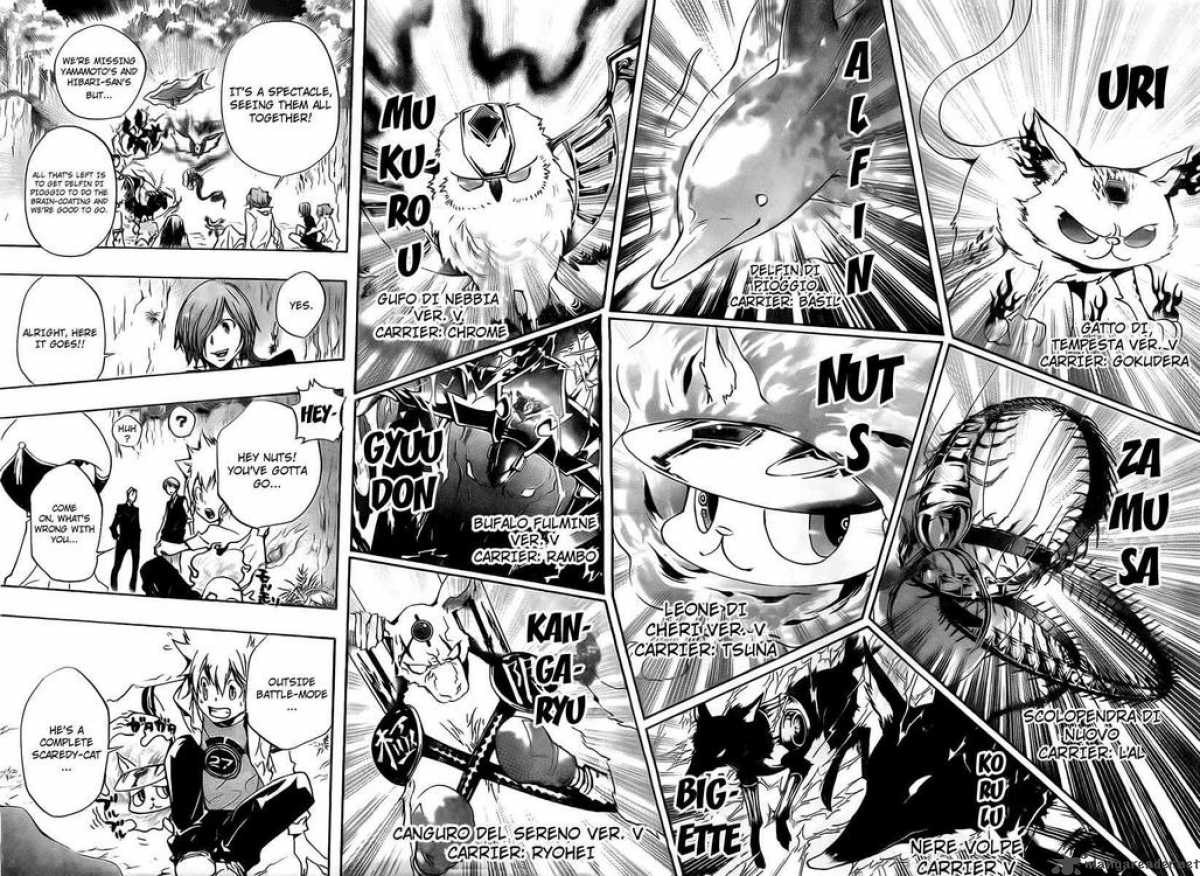 Katekyo Hitman Reborn Chapter 265 Page 8