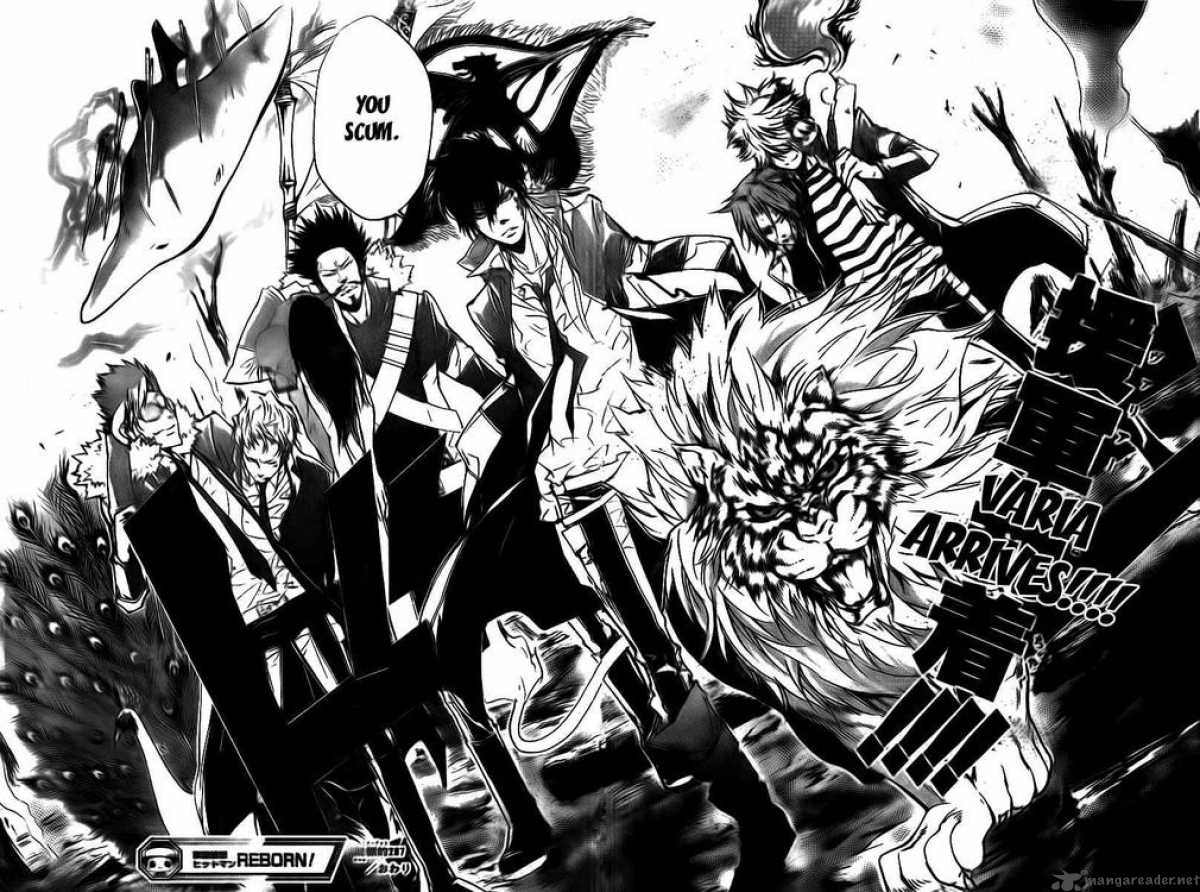 Katekyo Hitman Reborn Chapter 267 Page 16