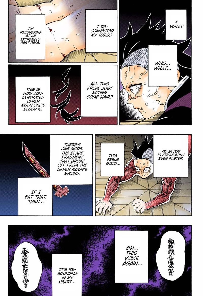 Kimetsu No Yaiba Digital Colored Comics Chapter 171 Page 3