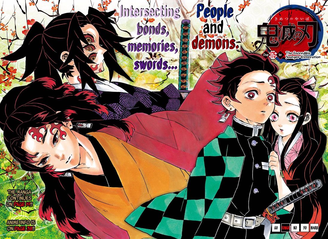 Kimetsu No Yaiba Digital Colored Comics Chapter 175 Page 3