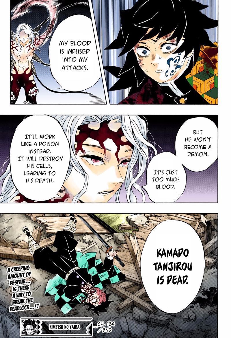 Kimetsu No Yaiba Digital Colored Comics Chapter 184 Page 18