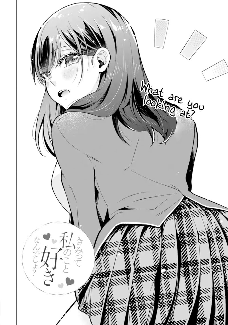 Kimi Tte Watashi No Koto Suki Nandesho Chapter 13a Page 2