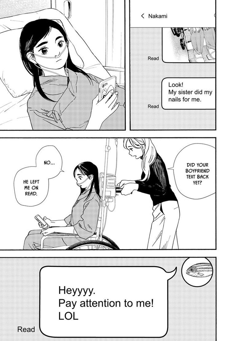 Kimi Wa Houkago Insomnia Chapter 119 Page 5