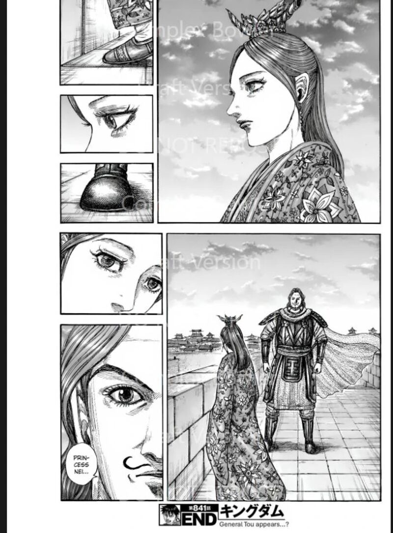 Kingdom Chapter 841 Page 19