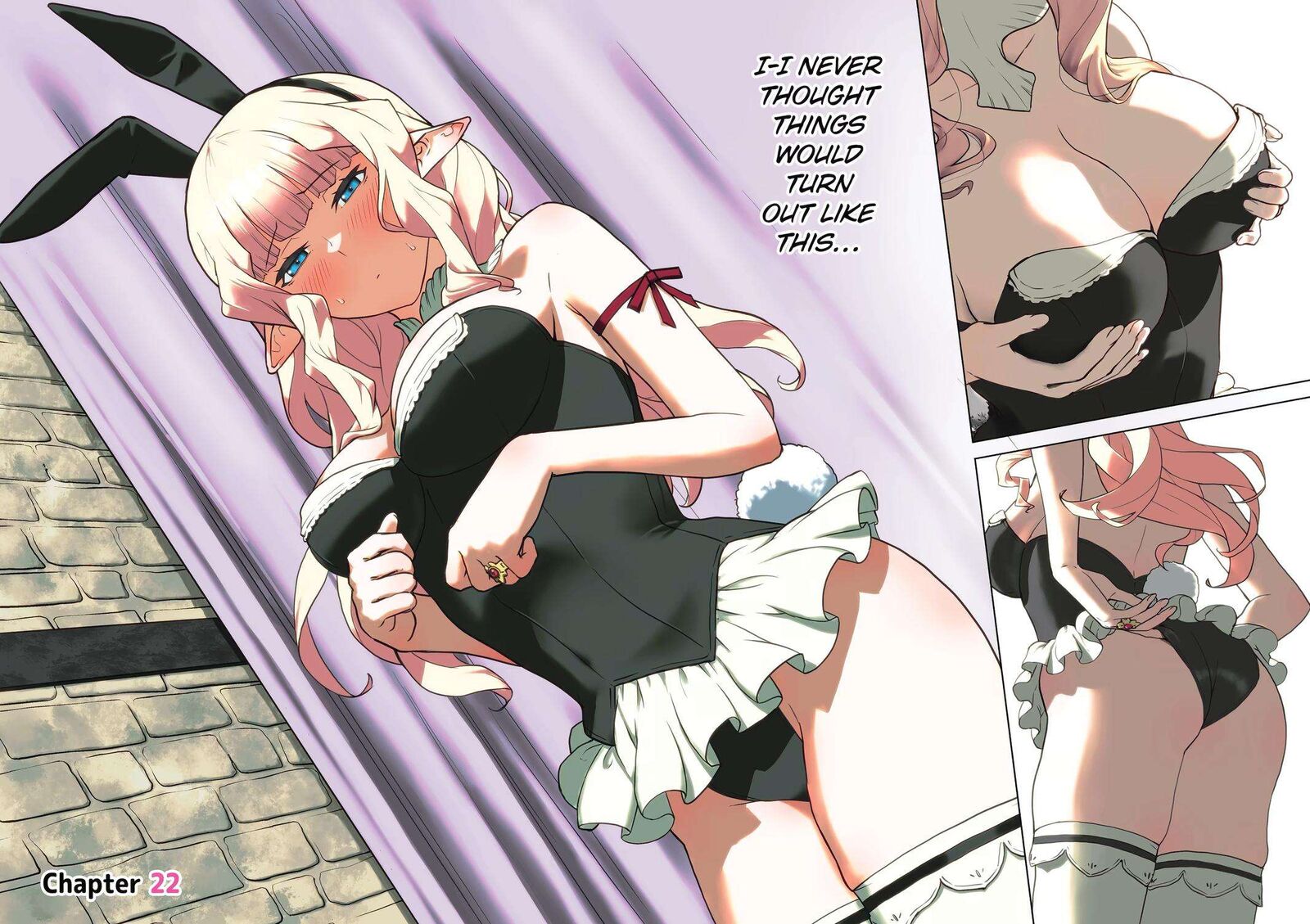 Kishi Danchou No Elf San Datte Otome Ga Shitai Chapter 22 Page 2