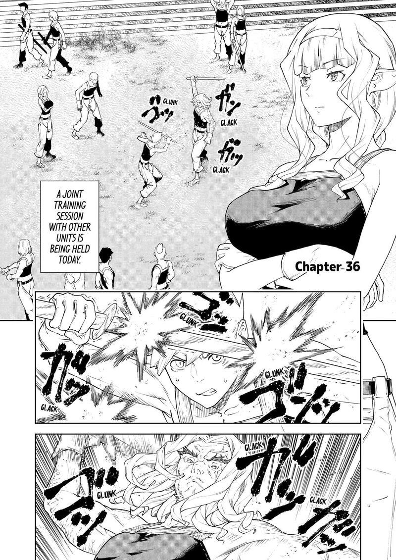 Kishi Danchou No Elf San Datte Otome Ga Shitai Chapter 36 Page 1