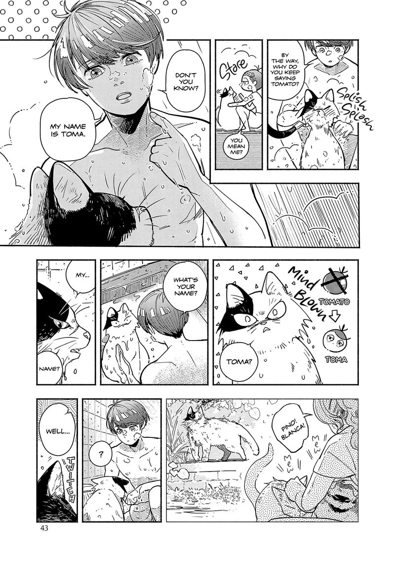 Kogareru Neko To Tomato Chapter 2 Page 13