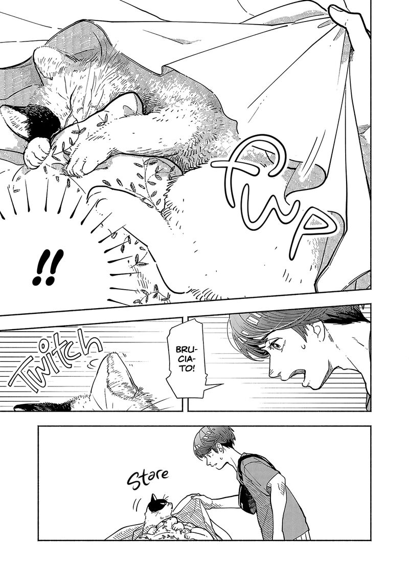 Kogareru Neko To Tomato Chapter 3 Page 14