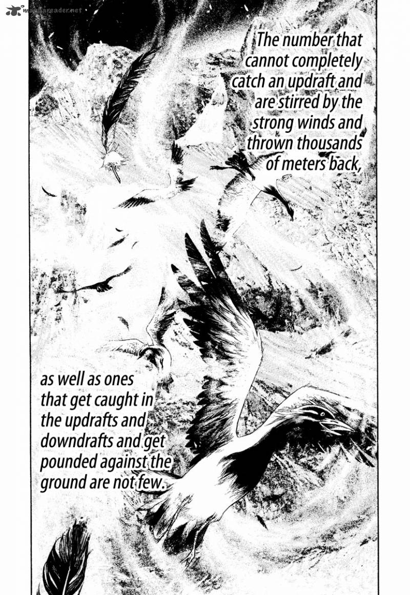 Kokou No Hito Chapter 168 Page 13