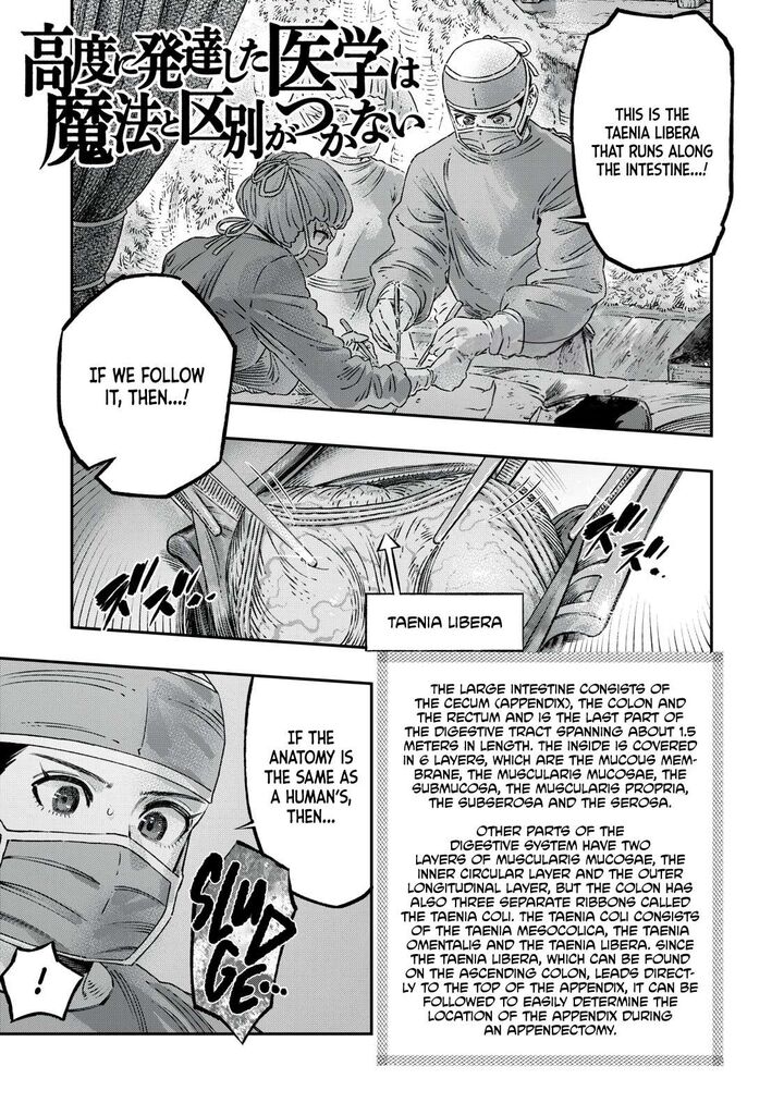 Koudou Ni Hattatsu Shita Igaku Wa Mahou To Kubetsu Ga Tsukanai Chapter 18 Page 2