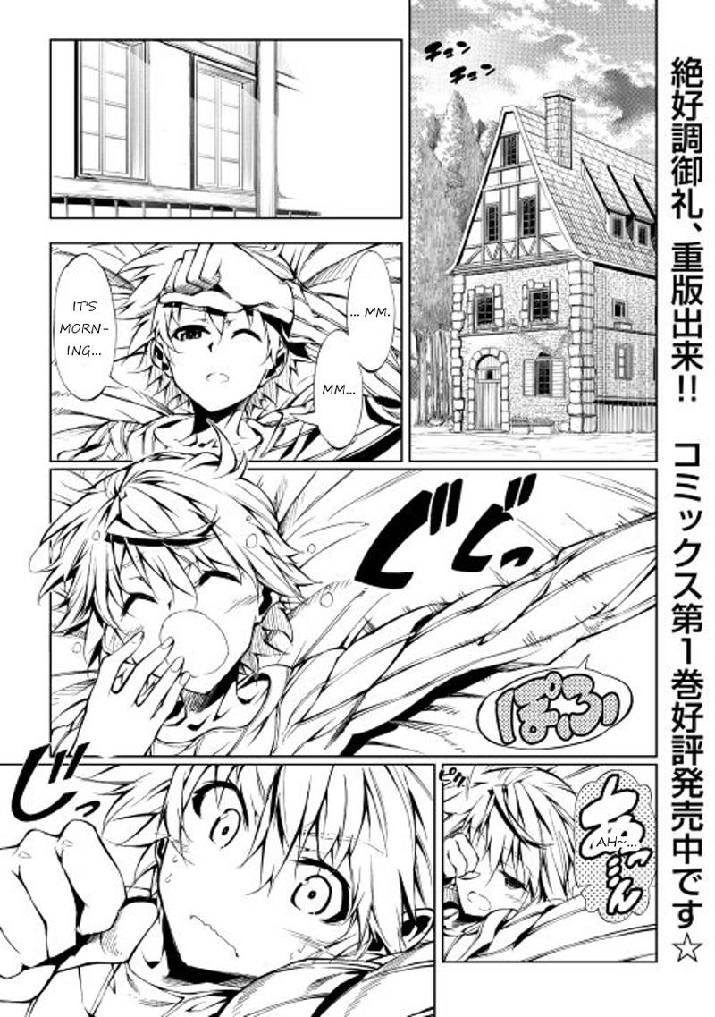 Kouritsu Kuriya Madoushi Daini No Jinsei De Madou O Kiwameru Chapter 9 Page 1