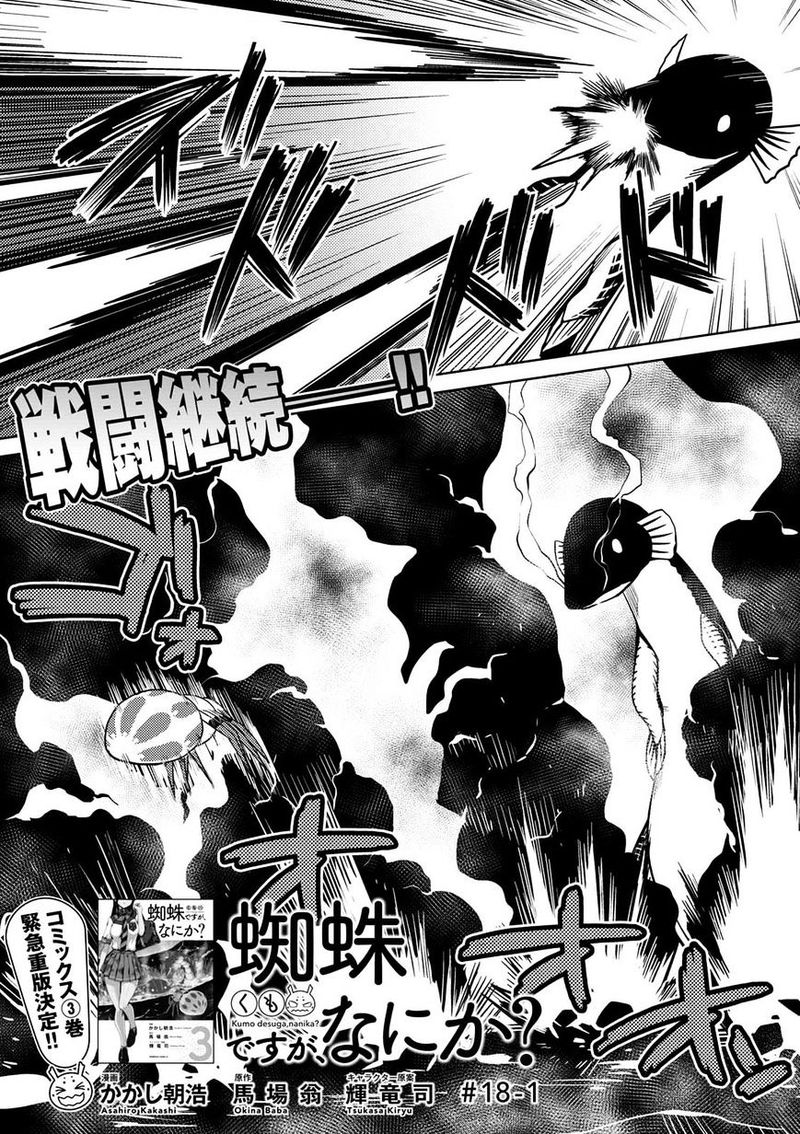 Kumo Desu Ga Nani Ka Chapter 18 Page 1