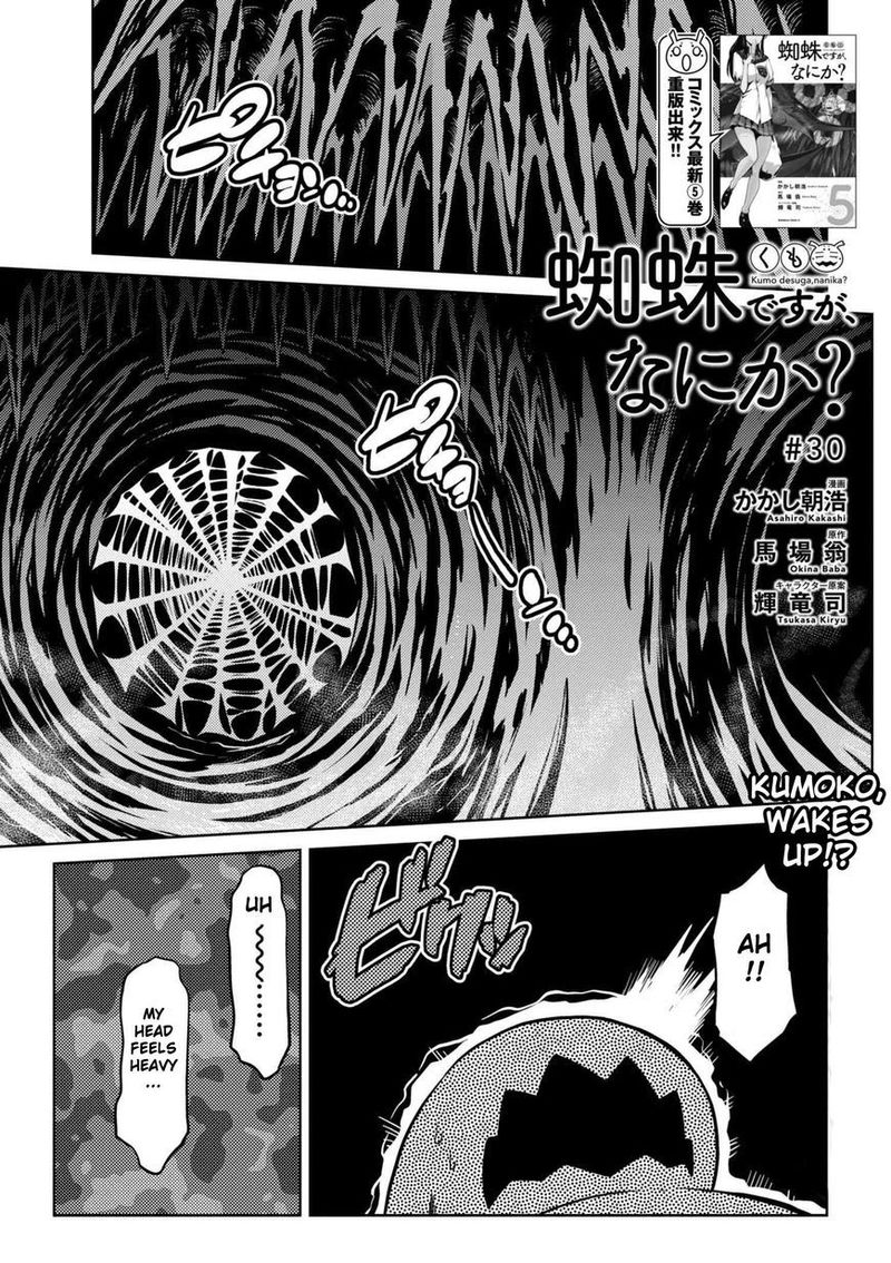 Kumo Desu Ga Nani Ka Chapter 30 Page 1