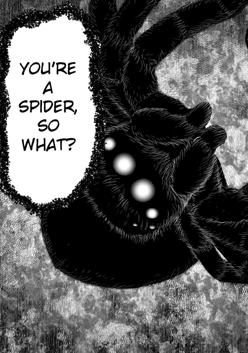 Kumo Desu Ga Nani Ka Chapter 75b Page 13