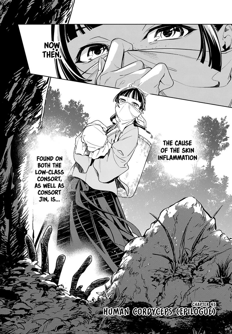 Kusuriya No Hitorigoto Chapter 45a Page 2