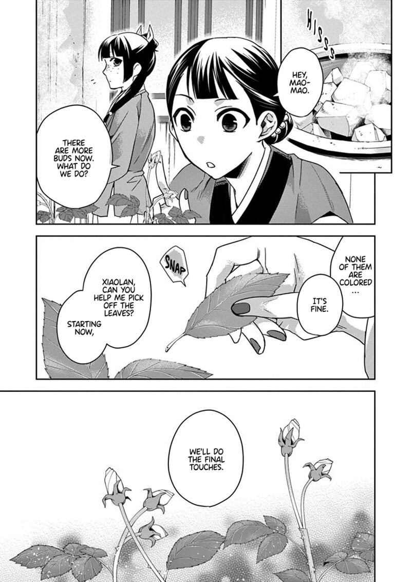 Kusuriya No Hitorigoto Maomao No Koukyuu Nazotoki Techou Chapter 27 Page 33