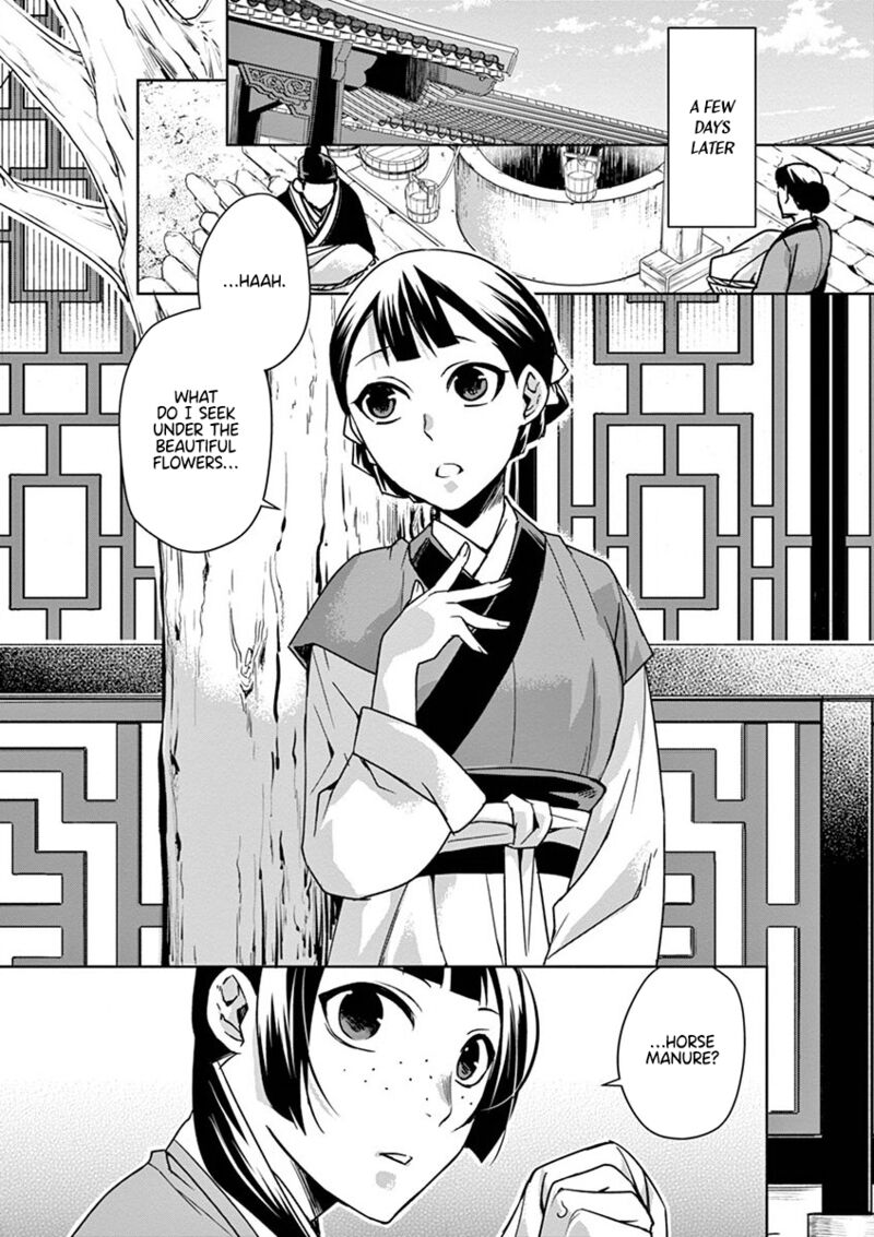 Kusuriya No Hitorigoto Maomao No Koukyuu Nazotoki Techou Chapter 31 Page 19