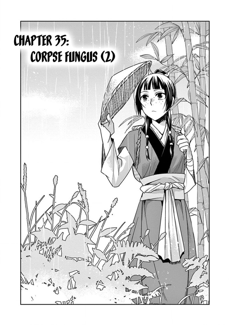 Kusuriya No Hitorigoto Maomao No Koukyuu Nazotoki Techou Chapter 35 Page 4