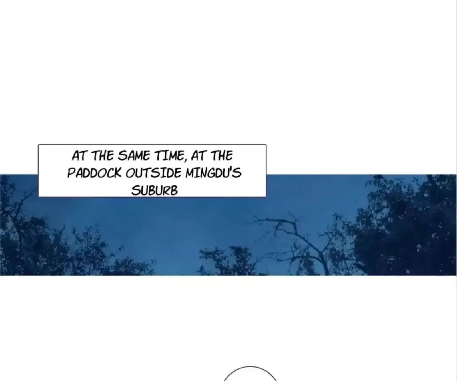 Legend Of The Tyrant Empress Chapter 134 Page 10