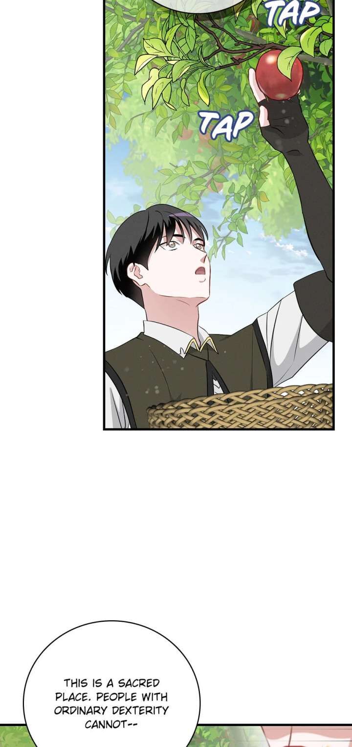 Leveling Up By Only Eating Chapter 207 Page 45