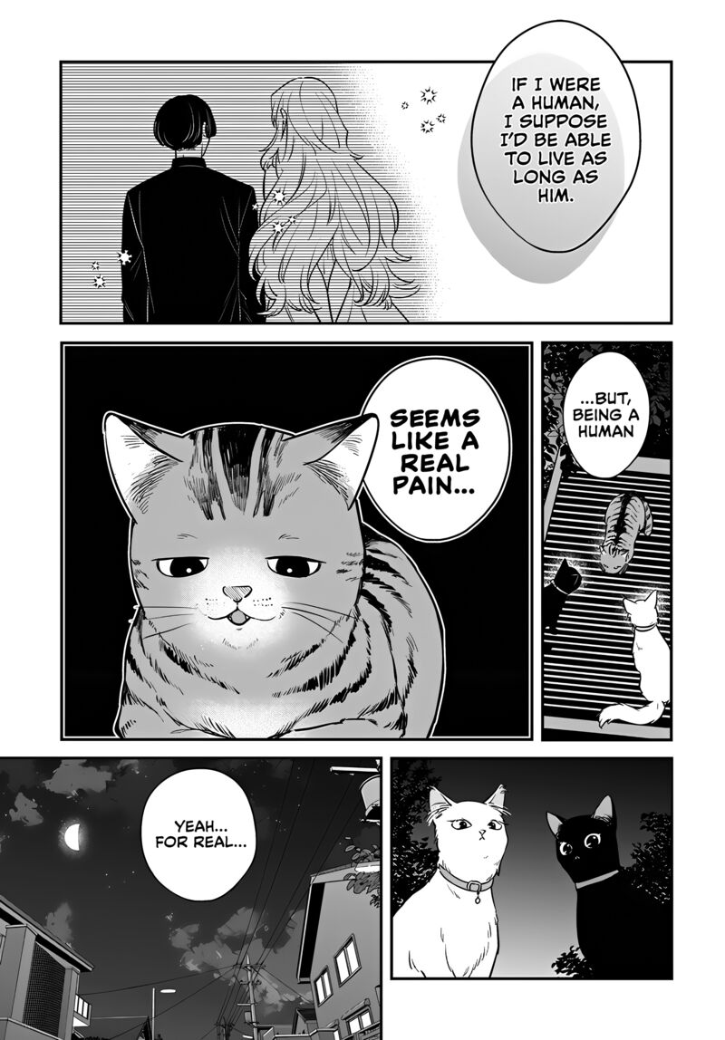 Mi Chan Wa Kawaretai Chapter 17 Page 3