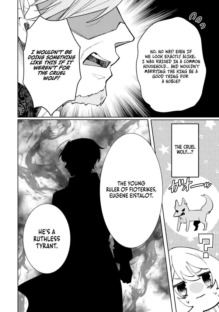 Migawari De Totsuida Reikoku Kokuou Wa Hatsukoi Aite Deshita Chapter 1 Page 17