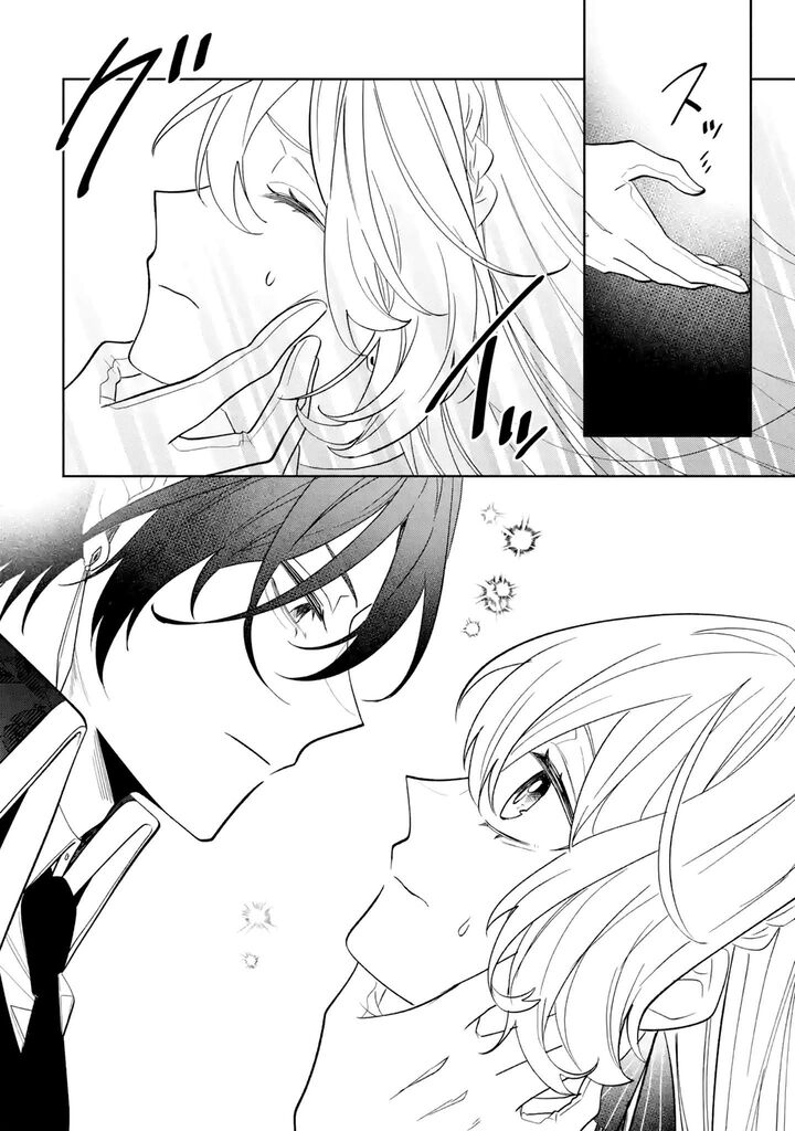 Migawari De Totsuida Reikoku Kokuou Wa Hatsukoi Aite Deshita Chapter 1 Page 27