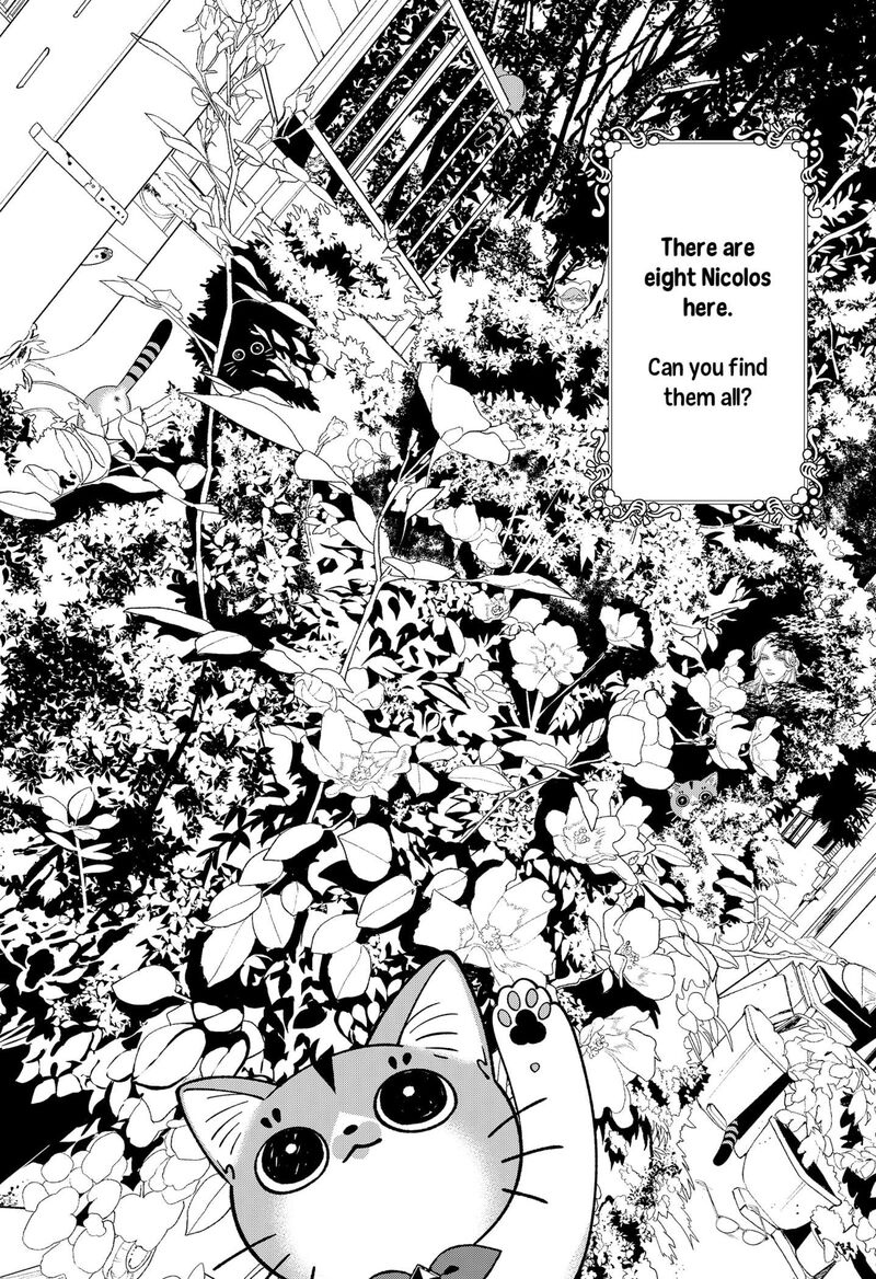 Miyaou Tarou Ga Neko Wo Kau Nante Chapter 32e Page 1