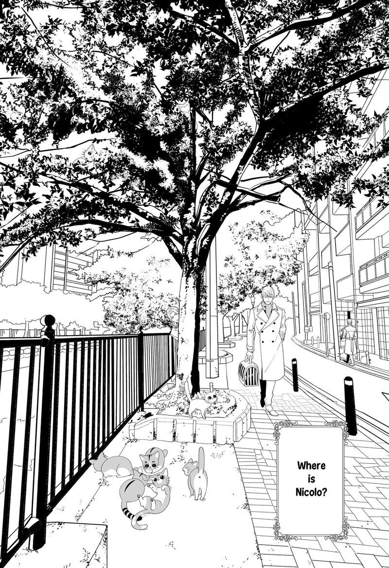 Miyaou Tarou Ga Neko Wo Kau Nante Chapter 33e Page 1