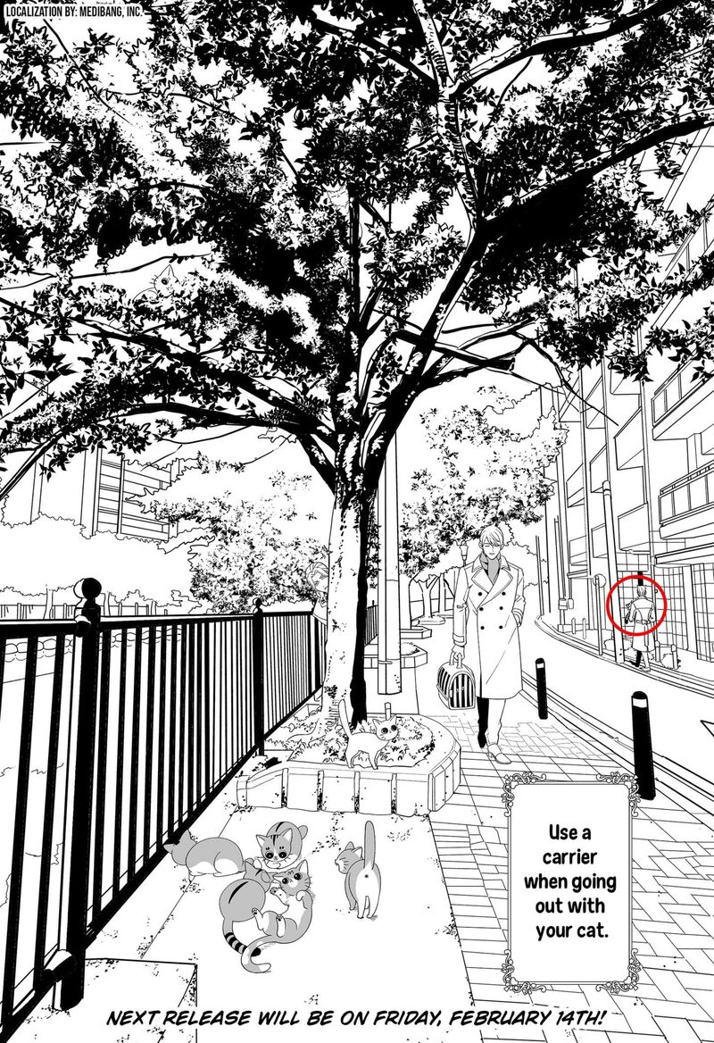 Miyaou Tarou Ga Neko Wo Kau Nante Chapter 33e Page 2
