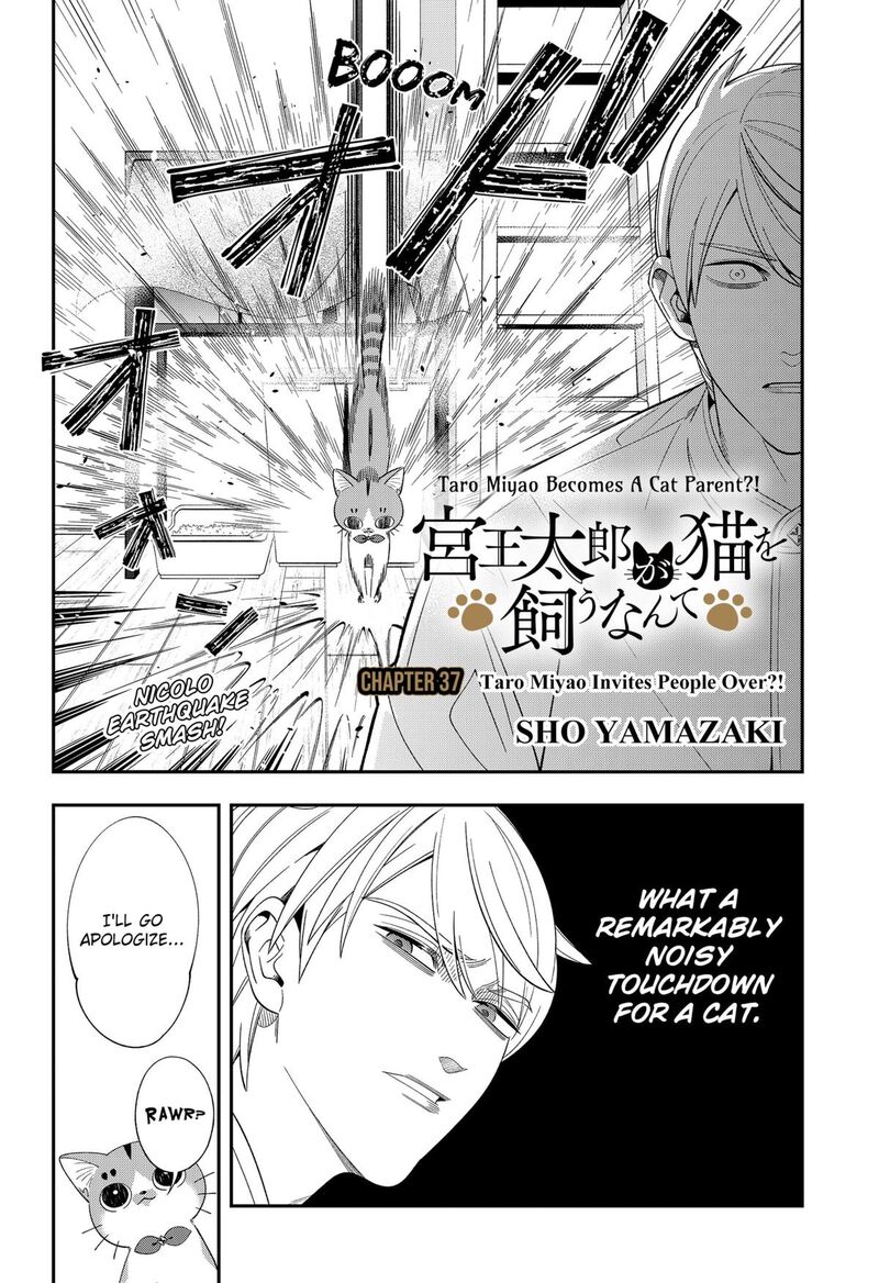 Miyaou Tarou Ga Neko Wo Kau Nante Chapter 37 Page 2