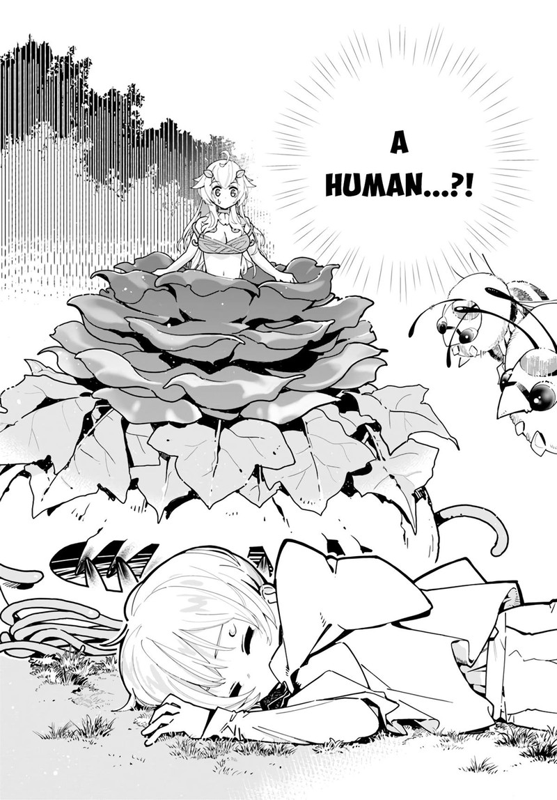 Monster Girl Plant Diary Chapter 3 Page 28