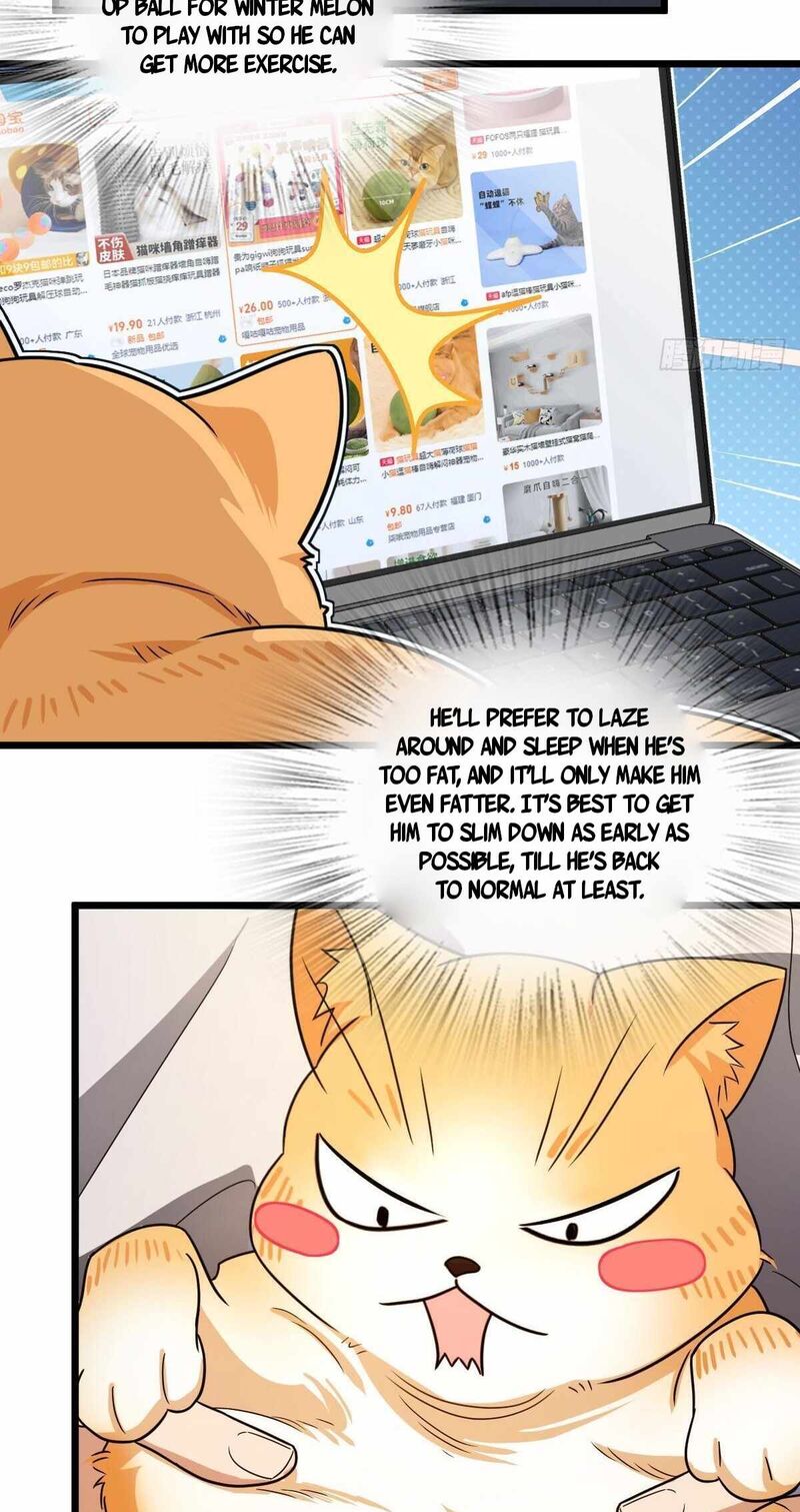 My Wife Is From A Thousand Years Ago Chapter 284 Page 44
