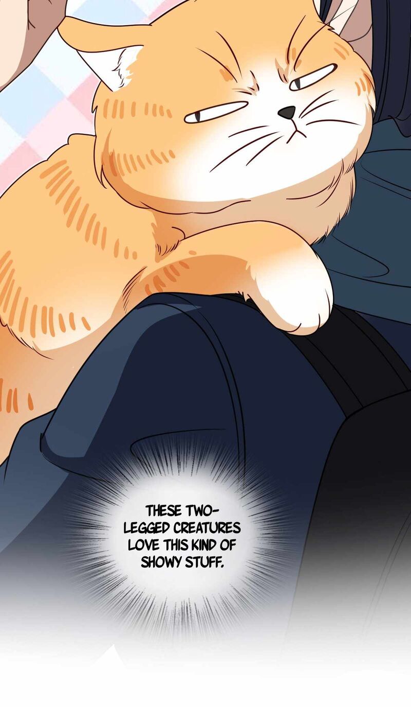 My Wife Is From A Thousand Years Ago Chapter 303 Page 57
