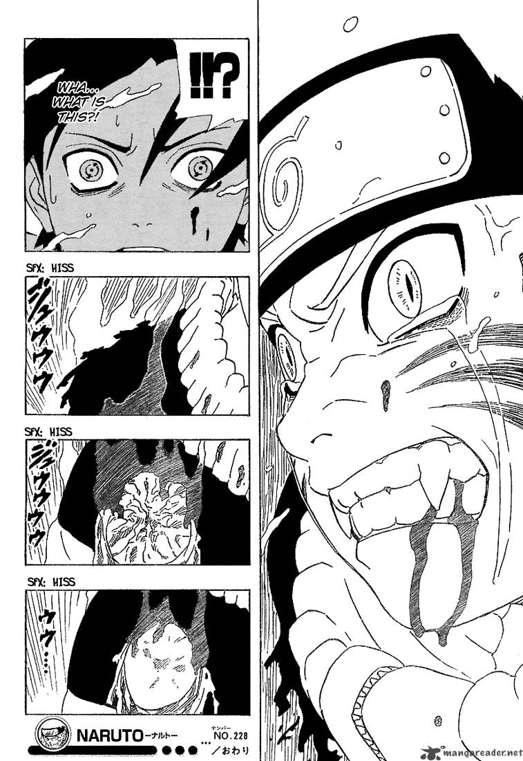 Naruto Chapter 228 Page 17