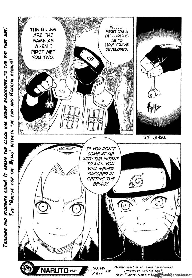 Naruto Chapter 245 Page 19