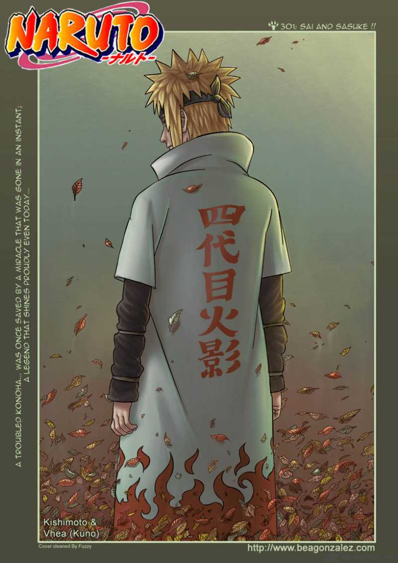 Naruto Chapter 301 Page 18