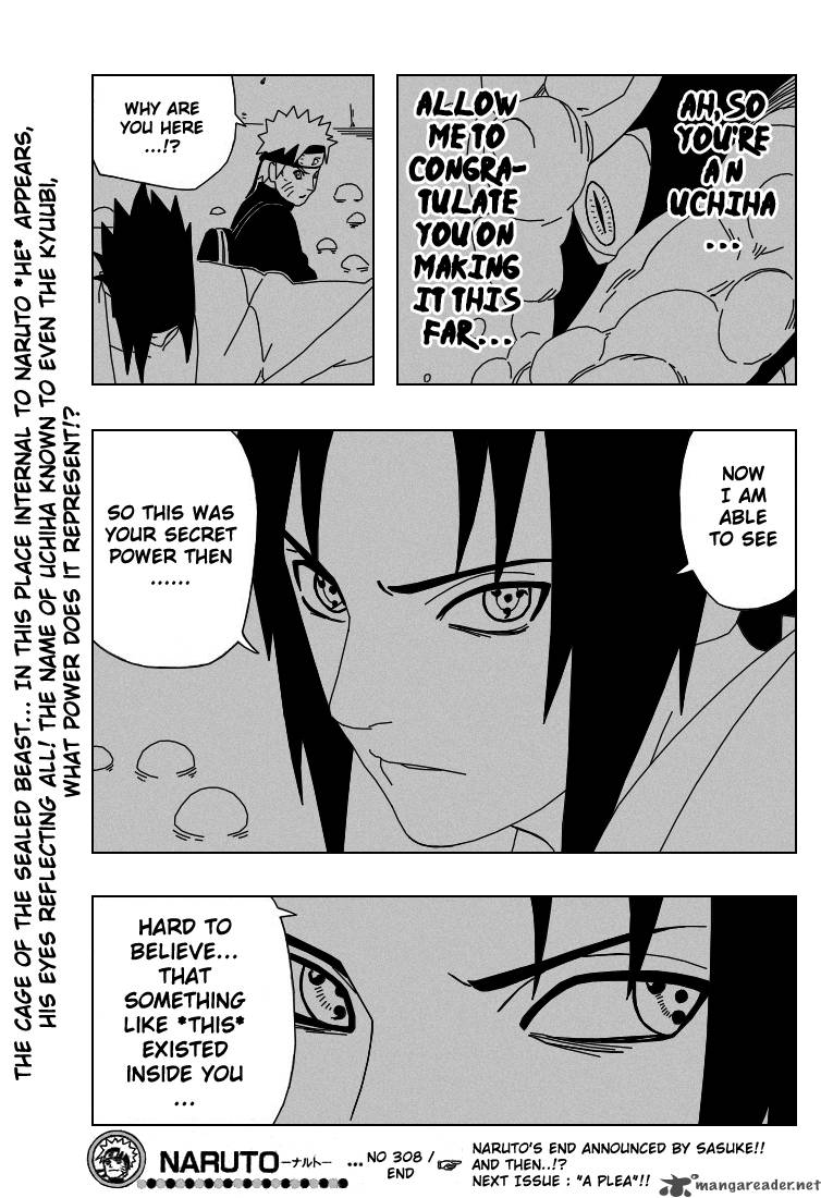 Naruto Chapter 308 Page 17