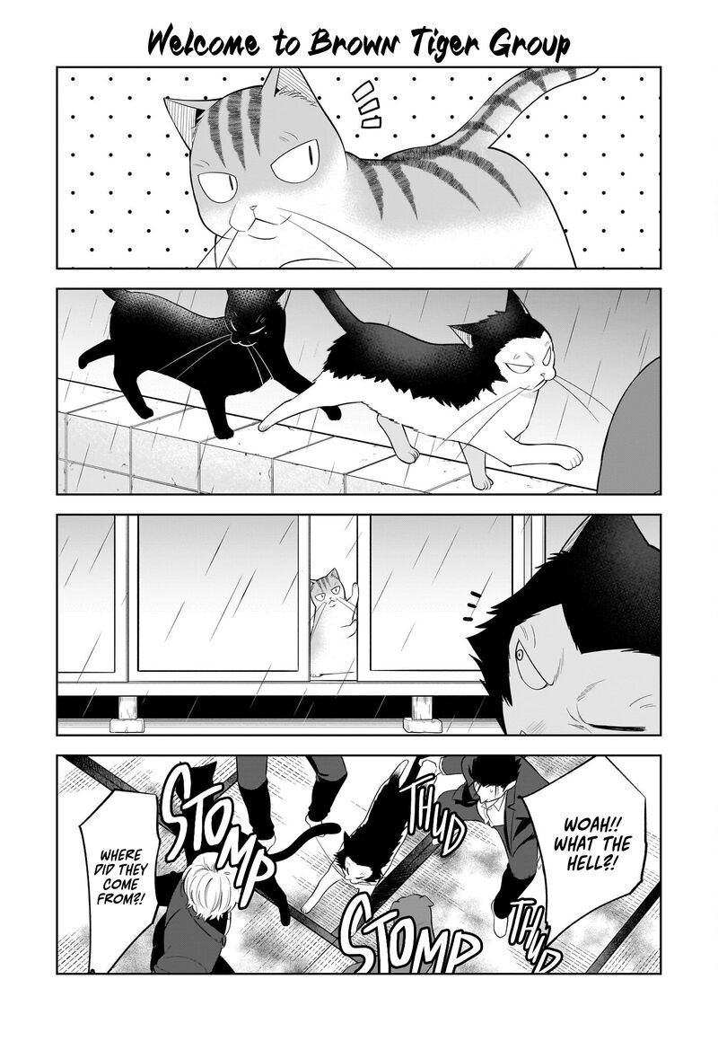 Neko Ga Gotoku Chapter 36 Page 9